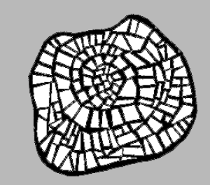 Roses for Carrara logo